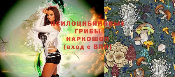 ешки Алексеевка
