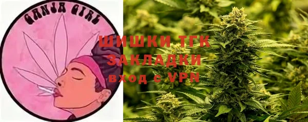 индика Наволоки
